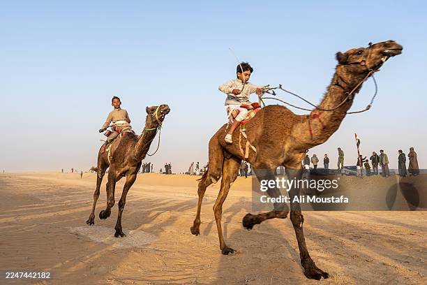 Two racers push toward the finish line in the Al-Sirr camel race on November 19, 2025 in El Hassana, Egypt. The Al-Sirr camel race is one of the most...