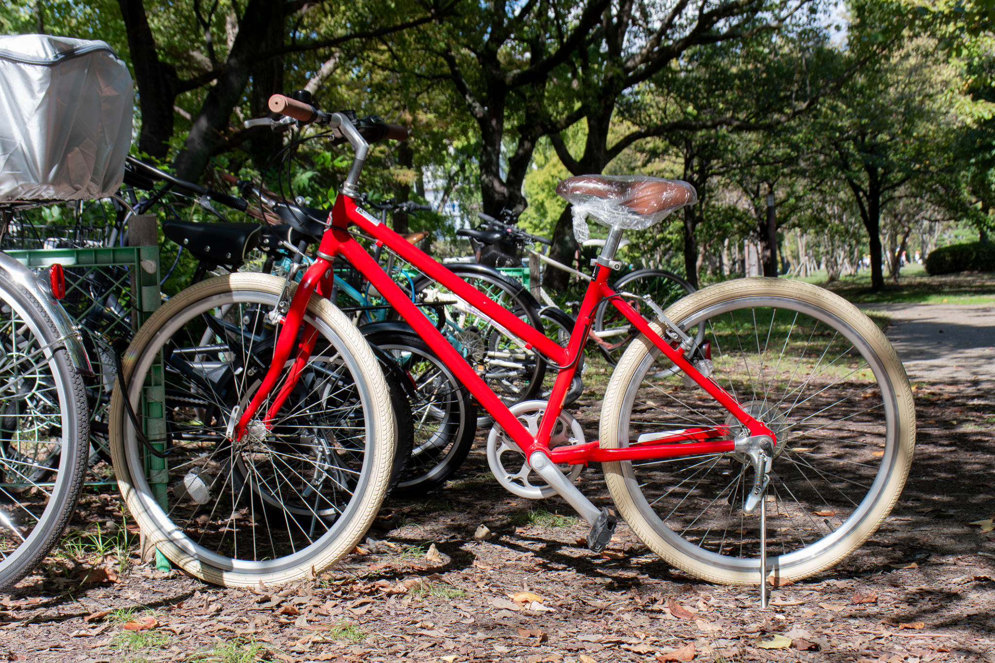 standard custom bikes