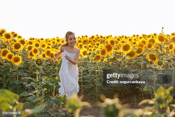 niño jugando en campo de girasol en el soleado día de verano - familia de la margarita fotografías e imágenes de stock