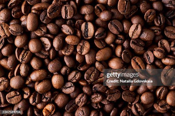 closeup of dark roasted coffee arabica beans with smooth aroma and ripe taste - coffee bildbanksfoton och bilder