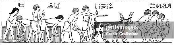 ilustrações de stock, clip art, desenhos animados e ícones de hieroglyphics of egypt farmers plowing and working the field with bulls - história antiga