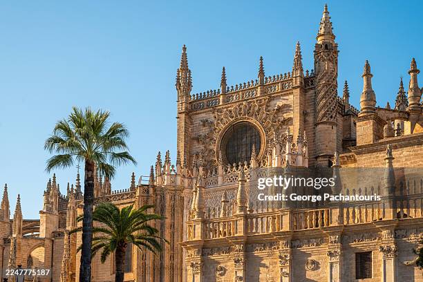 architecture of seville cathedral in spain - seville cathedral stock pictures, royalty-free photos & images
