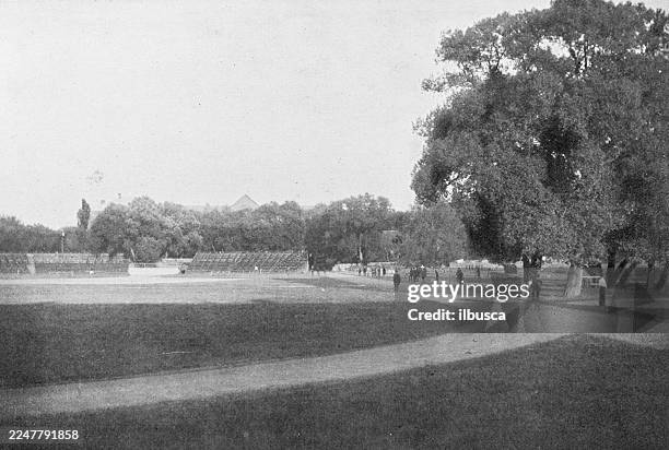 harvard university and surroundings: holmes field - charlottesville stock illustrations