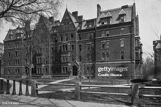harvard university and surroundings: matthews hall - student accommodation stock illustrations