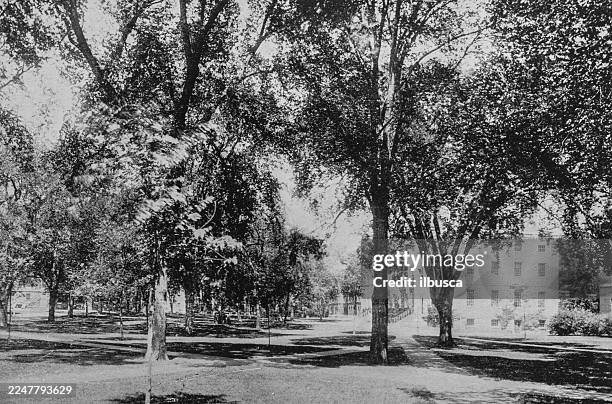 harvard university and surroundings: the quadrangle - harvard campus stock illustrations