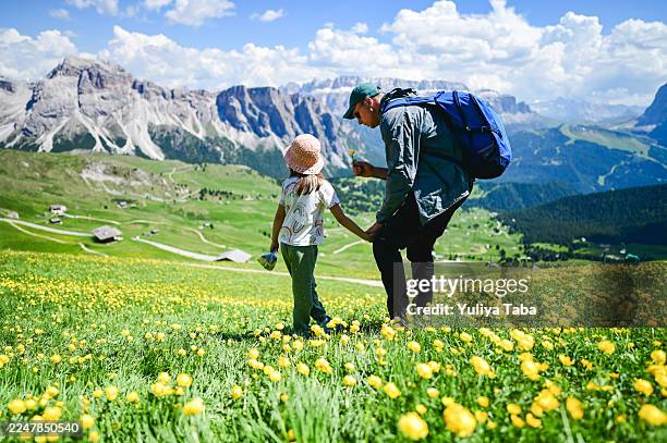 father and daughter hiking mountain meadow sharing flower. seceda in dolomites - environmentalist stock pictures, royalty-free photos & images