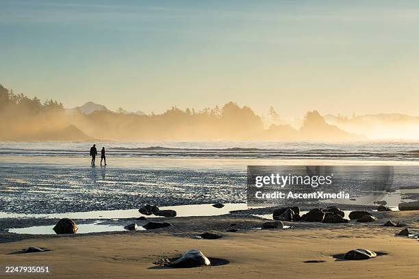 distant view of couple walking on beach at sunset, tofino - golden hour stock pictures, royalty-free photos & images