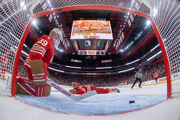 Lightning vs. Red Wings Prediction, Odds, Picks - Nov. 28