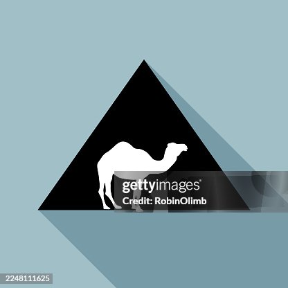 PyramidCamelIcon PyramidCamelIcon