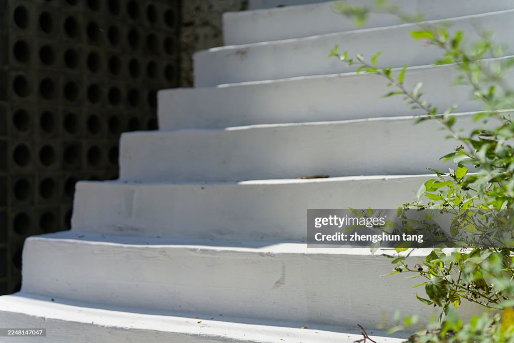 Urban Geometry: Architectural Staircase Collection/Sunlit Exterior Steps with Greenery.