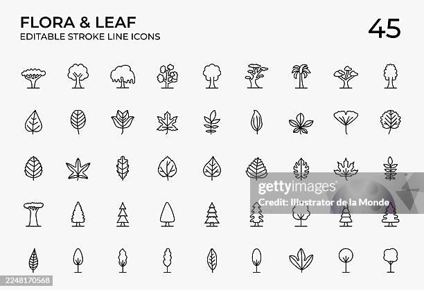illustrations, cliparts, dessins animés et icônes de icônes de la flore et des lignes fines de feuilles - olivier