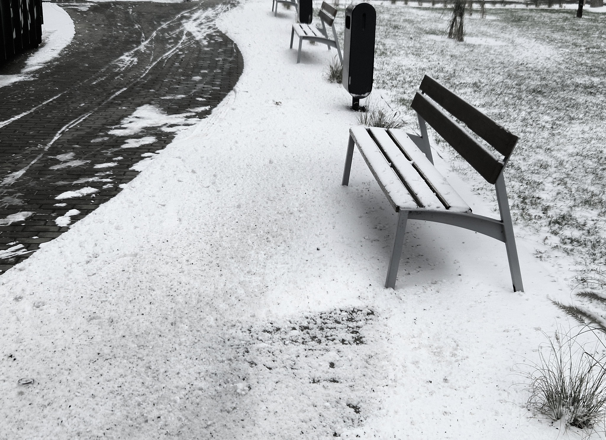 seasonal sweepstakes