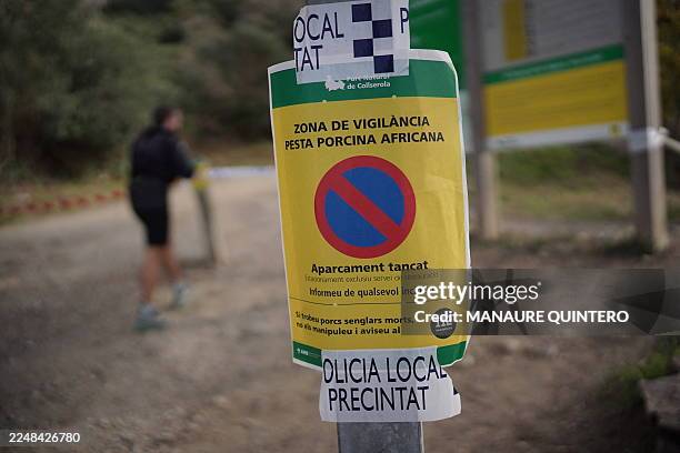 This image shows a local police warning sign reading "African Swine Fever Surveillance Zone" posted on a pole at the entrance of the Collserola...