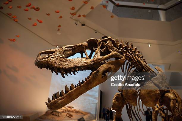 View of Abu Dhabi Natural History Museum, built on a 35,000-square-meter site in the Saadiyat Cultural District in Abu Dhabi, the capital of the...