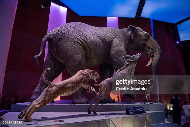 View of Abu Dhabi Natural History Museum, built on a 35,000-square-meter site in the Saadiyat Cultural District in Abu Dhabi, the capital of the...