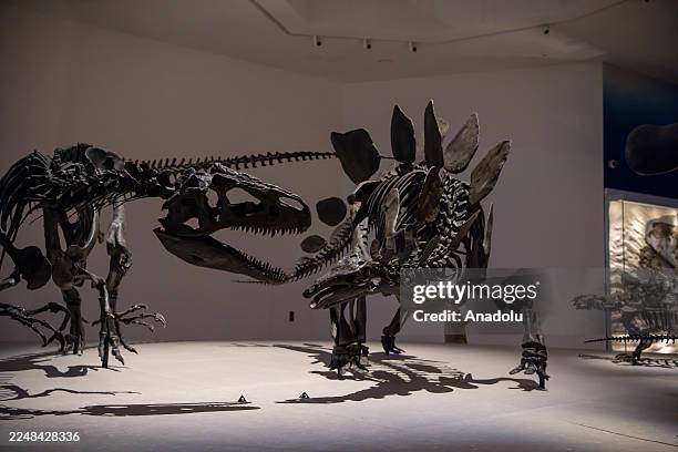 View of Abu Dhabi Natural History Museum, built on a 35,000-square-meter site in the Saadiyat Cultural District in Abu Dhabi, the capital of the...