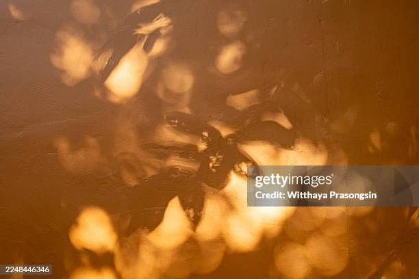 dappling sunlight creating abstract leaf shadows on wall - luce calda foto e immagini stock