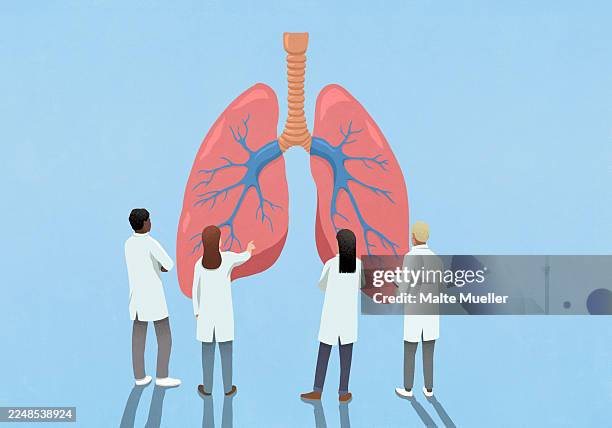 scientists examining large pair of lungs against blue background - mycobacterium stock illustrations