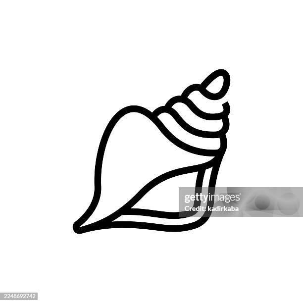 conch shell icon - conch stock illustrations