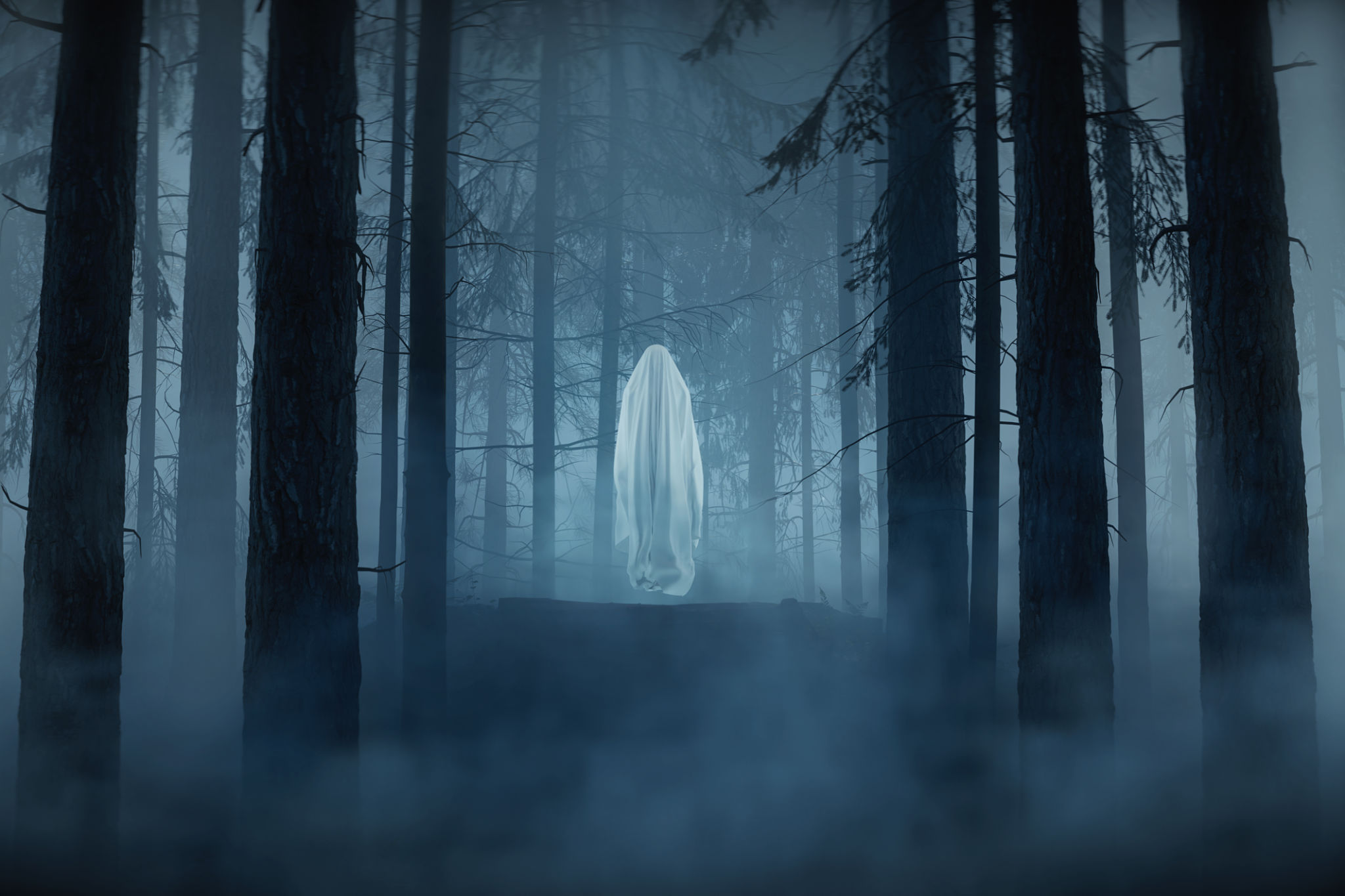 enchanted forest costume