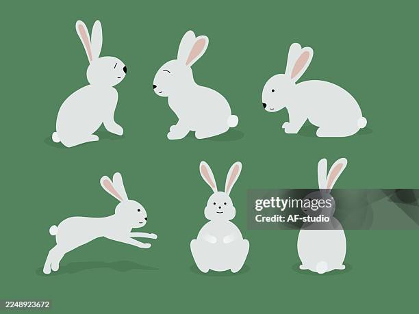 set of cute white easter bunny rabbits in different poses - hare stock illustrations