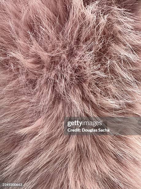 fuzzy and furry type material full frame - microfiber texture stock pictures, royalty-free photos & images