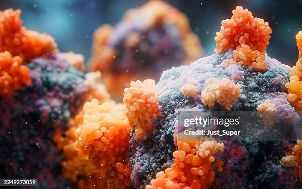 maladies et virus de voyage international, propagation - agent pathogène fongique photos et images de collection