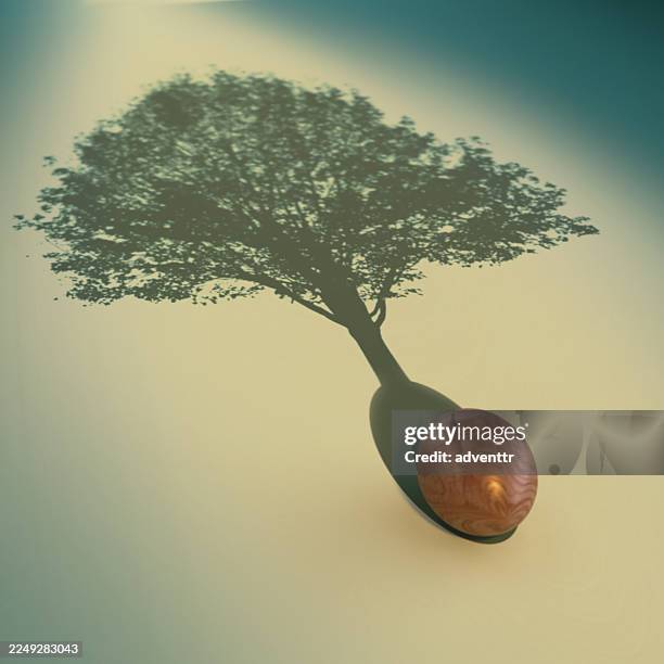 una pequeña semilla proyectando la sombra de un árbol crecido sobre una superficie con luz suave. concepto de liderazgo y fortaleza - semilla fotografías e imágenes de stock