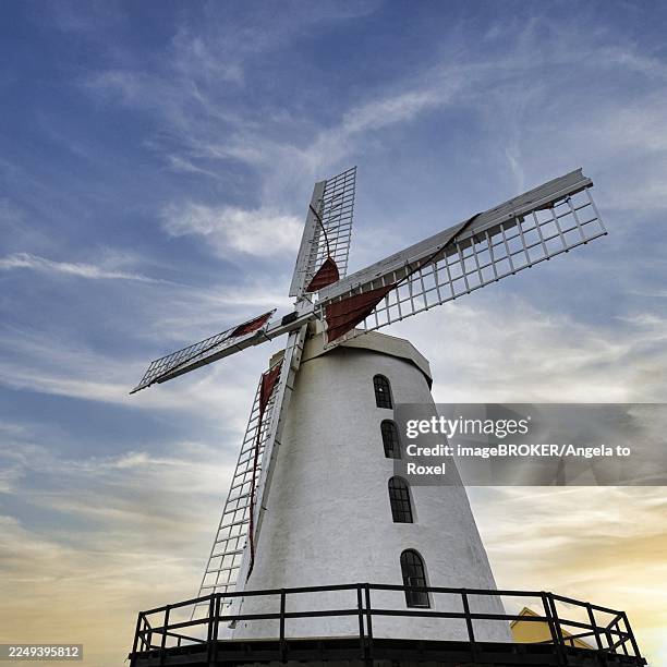 restored, commercially operated windmill, tower windmill, evening sky, blennerville, tralee, county kerry, wild atlantic way, ireland - blennerville windmill stock pictures, royalty-free photos & images