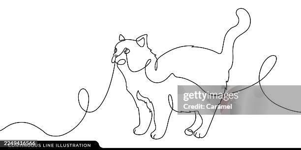minimalist cat standing with tail up continuous line drawing - cat line drawing stock illustrations