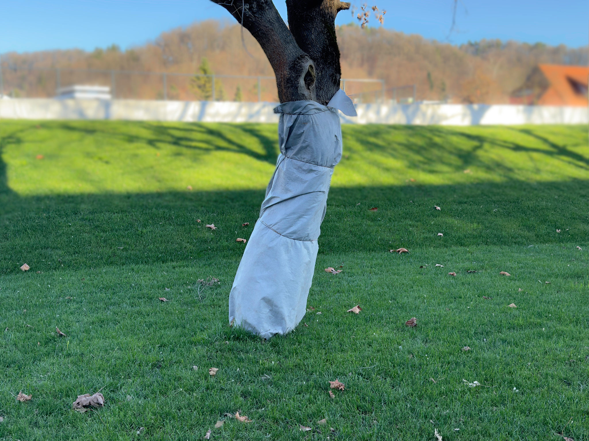 winter property maintenance