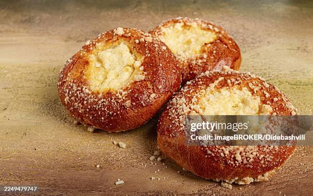 bun with cottage cheese, pastries, cheesecake, no people - süßgebäck teilchen stock-fotos und bilder