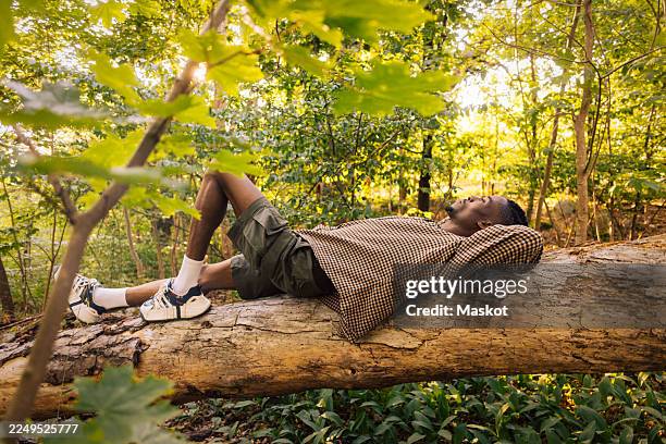 full length of man lying on tree trunk in forest - scandinavie photos et images de collection