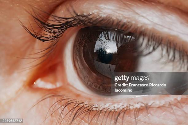 a persons brown eye with long eyelashes reflecting the outdoors. - pupil eye stock pictures, royalty-free photos & images