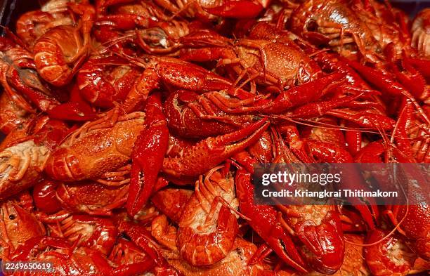 succulent crayfish offering a flavorful and satisfying seafood dinner. - boiled stock pictures, royalty-free photos & images