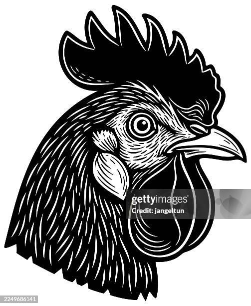 chicken head woodcut - hens stock illustrations