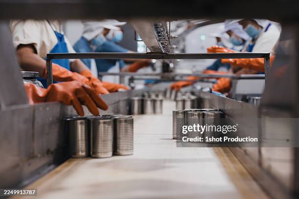 los trabajadores manejan conservas en una línea de producción de una planta de procesamiento de alimentos durante un turno concurrido - producto enlatado fotografías e imágenes de stock