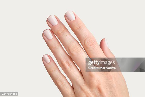 manicure in the colors of the year cloud dancer - gel nail polish stock pictures, royalty-free photos & images