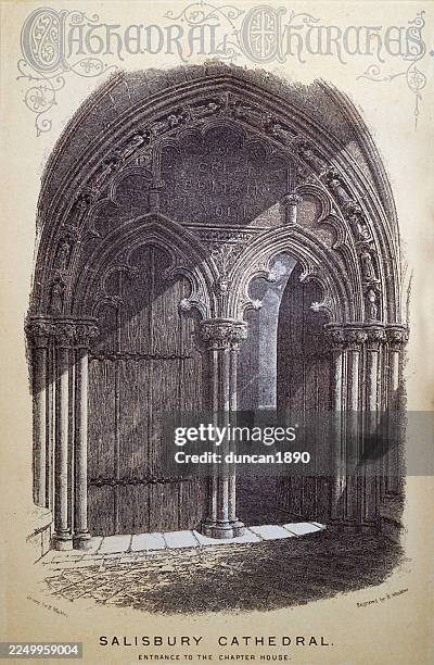 salisbury cathedral, entrance to the chapter house - salisbury cathedral stock illustrations