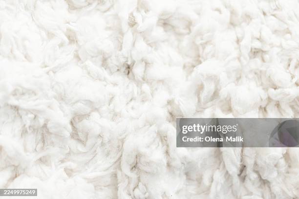 soft cream cotton texture close-up — fluffy fabric surface for textile, background, and design. demonstrating trendy color of 2026 year - free sample stock pictures, royalty-free photos & images
