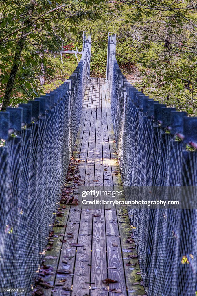 Piny Creek Suspension Bridge Spencer, Tennessee