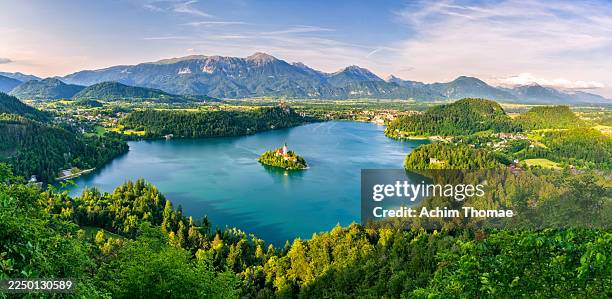 lake bled, slovenia, europe - slovenia stock pictures, royalty-free photos & images