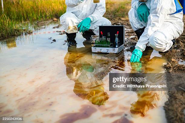 scientists taking water samples from polluted muddy puddle for analysis - toxic environment stock pictures, royalty-free photos & images