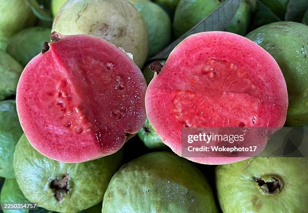 Guava Riped 3,026 Guava Fruit Stock Photos, High-Res Pictures, and Images - Getty ...