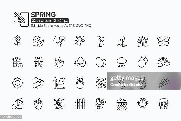 spring line icon set · 32 icons - daffodil stock illustrations