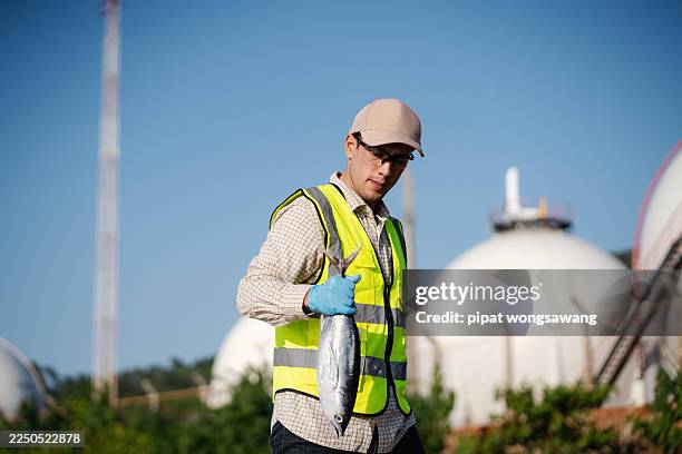 man holding fish during coastal environmental fieldwork - surveillance monitor stock pictures, royalty-free photos & images