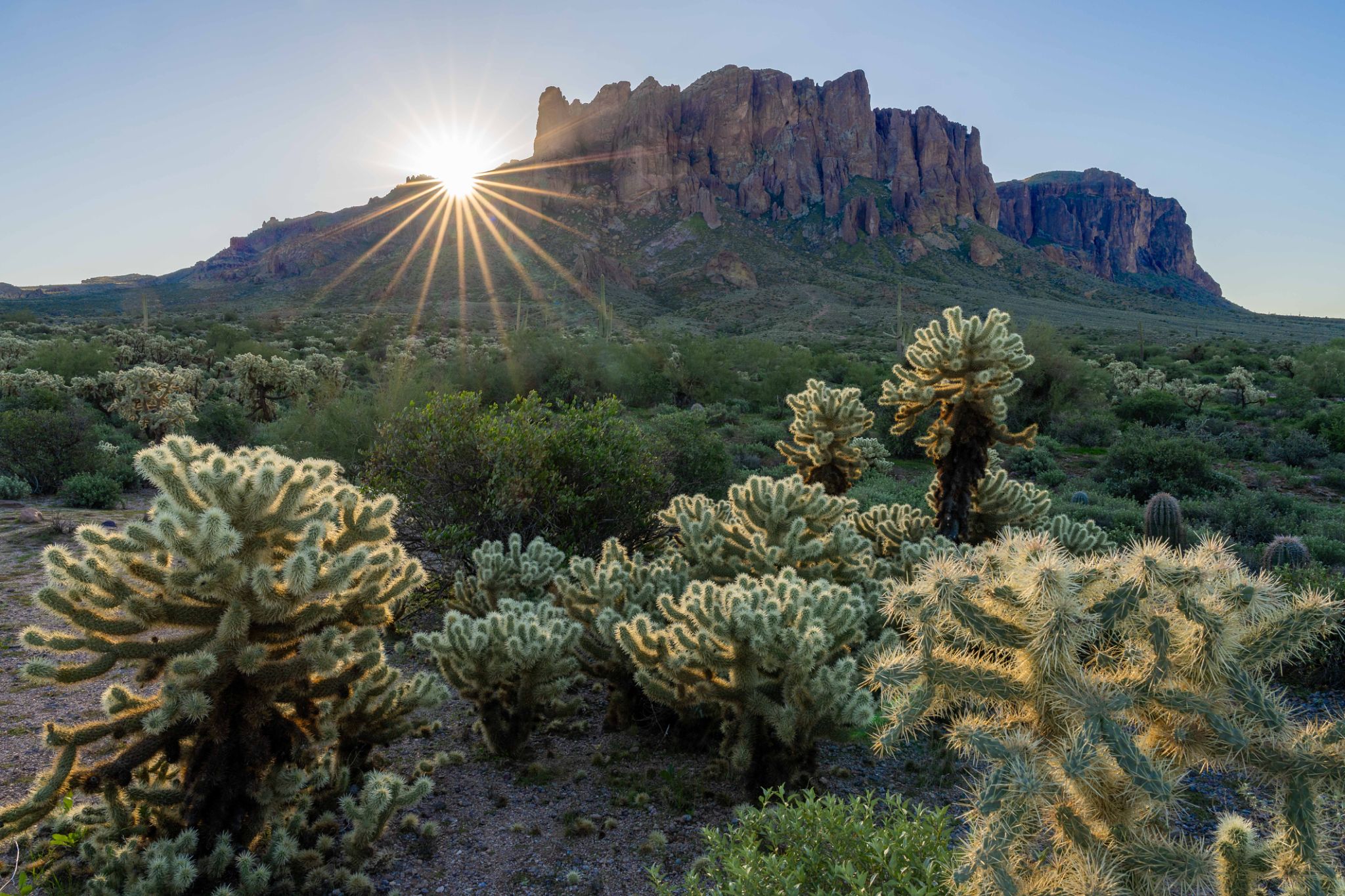 arizona desert sun