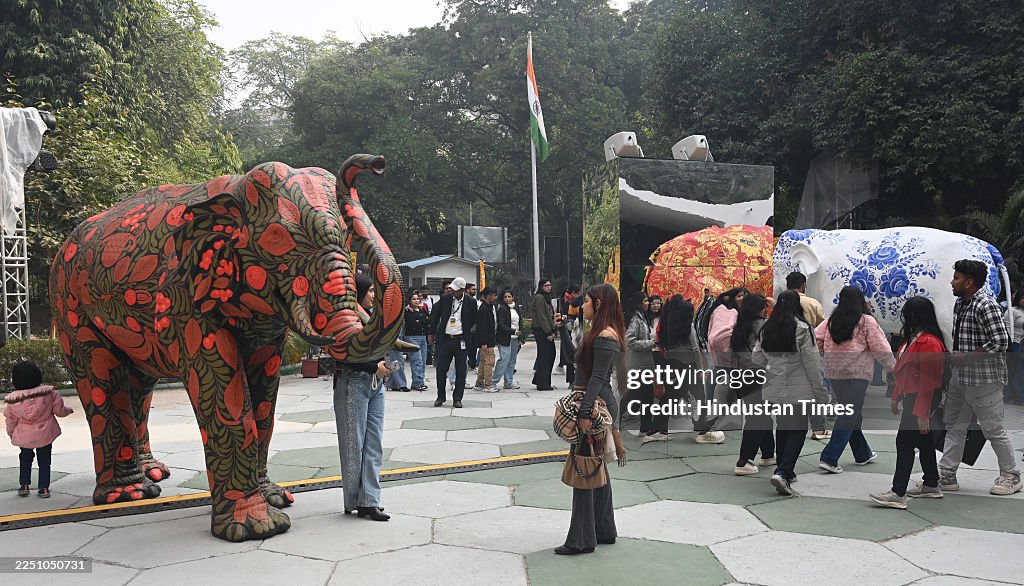 'Dream Vision' Solo Art Exhibition By Russian Artist Nikas Safronov At Lalit Kala Akademi In Delhi