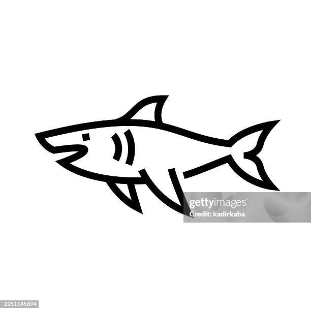 shark fish icon - great white teeth stock illustrations