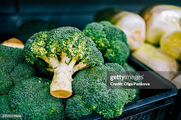 fresh green broccoli for healthy eating - broccoli stock pictures, royalty-free photos & images